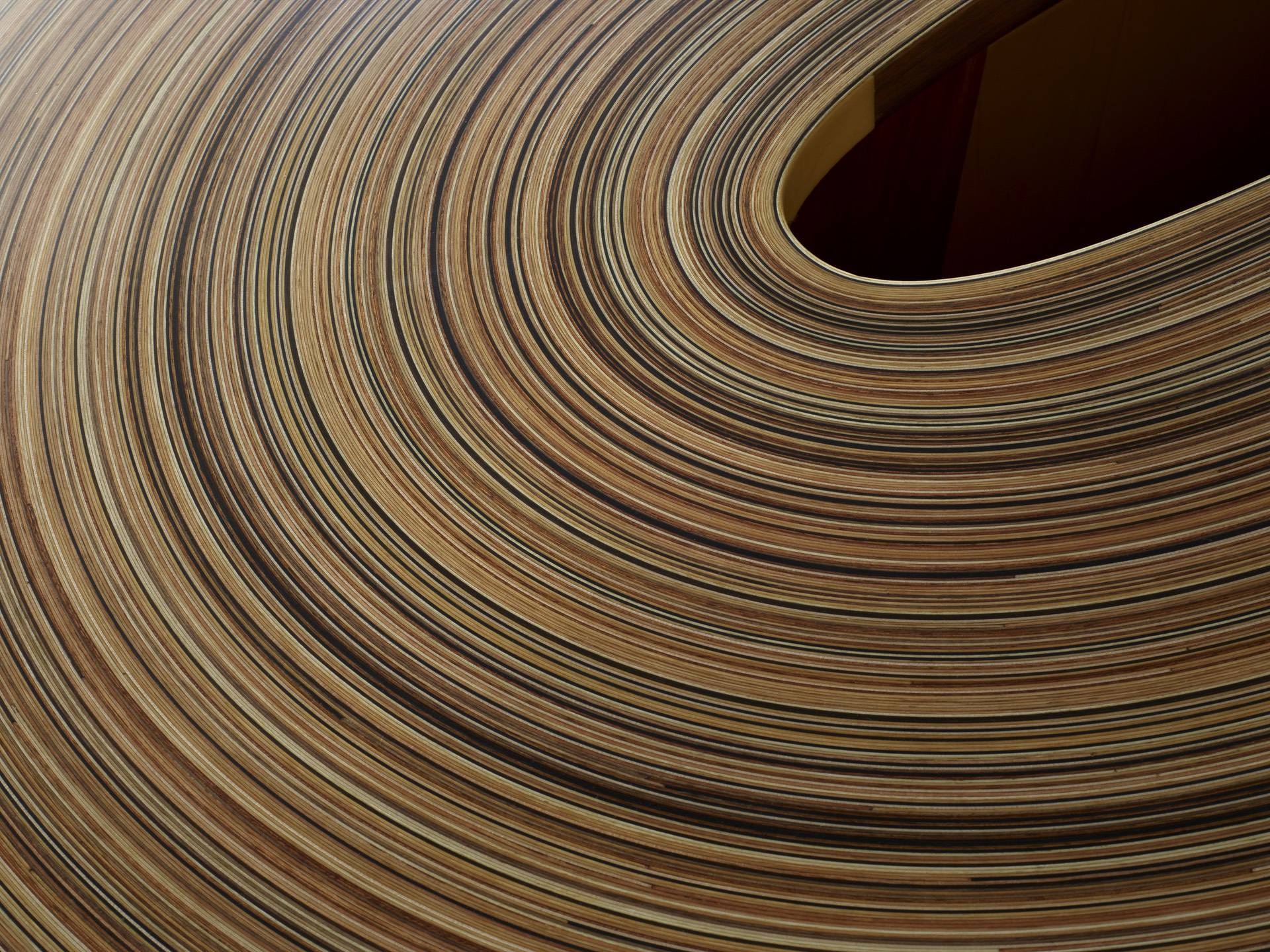 ReCoil_Brodie%20Neill_Detail_2021_Angela%20Moore_02